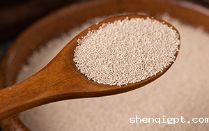 酵母粉
