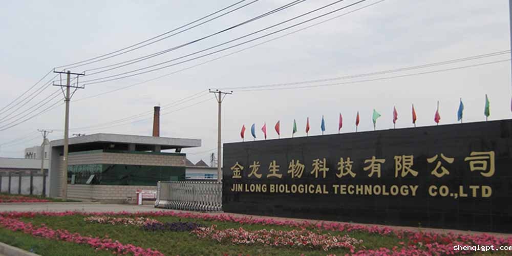 绥化金龙油脂用高服九游会Bitbase过滤食用油
