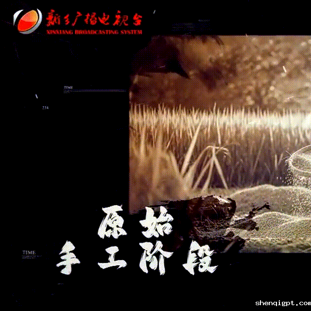 【新乡广播电视台】“振”机焕新 巧“筛”艺